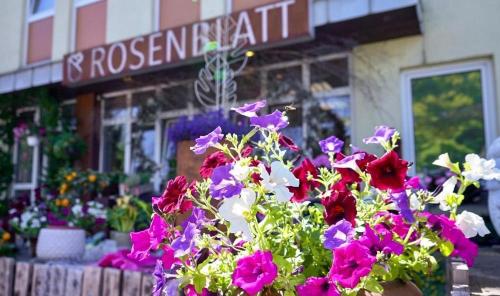 Dein Augsburg • Blumen Rosenblatt