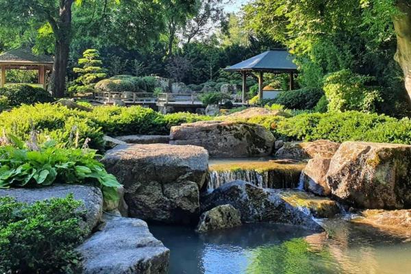 Bild: Botanischer Garten Augsburg 