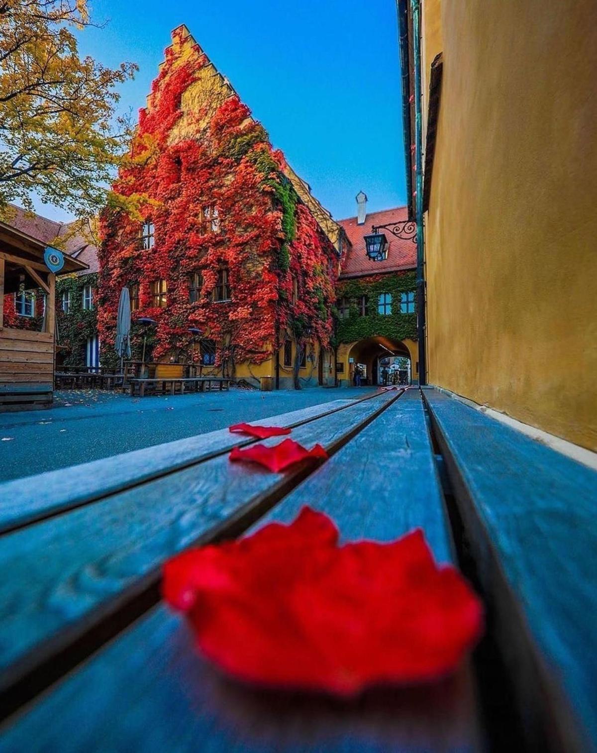 Bild zum Beitrag 'Wir gratulieren der Fuggerei zum 500. Geburtstag ' Beitragsbild