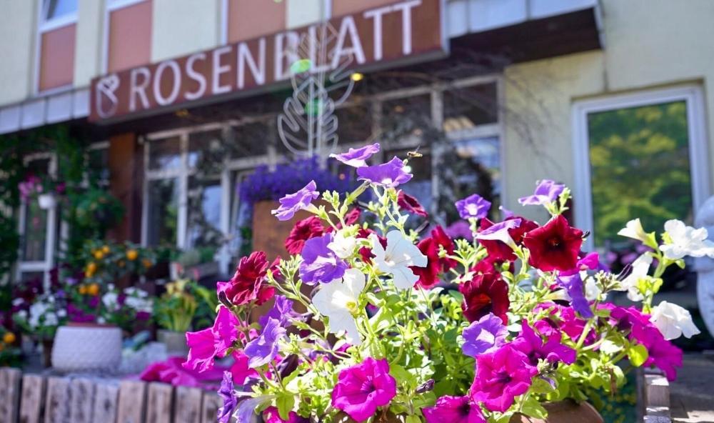 Bild 1 Blumen Rosenblatt