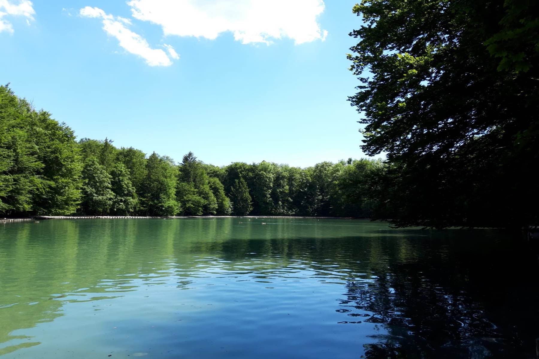 Bild zu Stempflesee im Siebentischwald