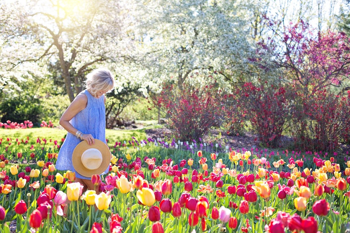 Bild zu Die BESTEN Garten- und Landschaftsbauer in Augsburg und Umgebung