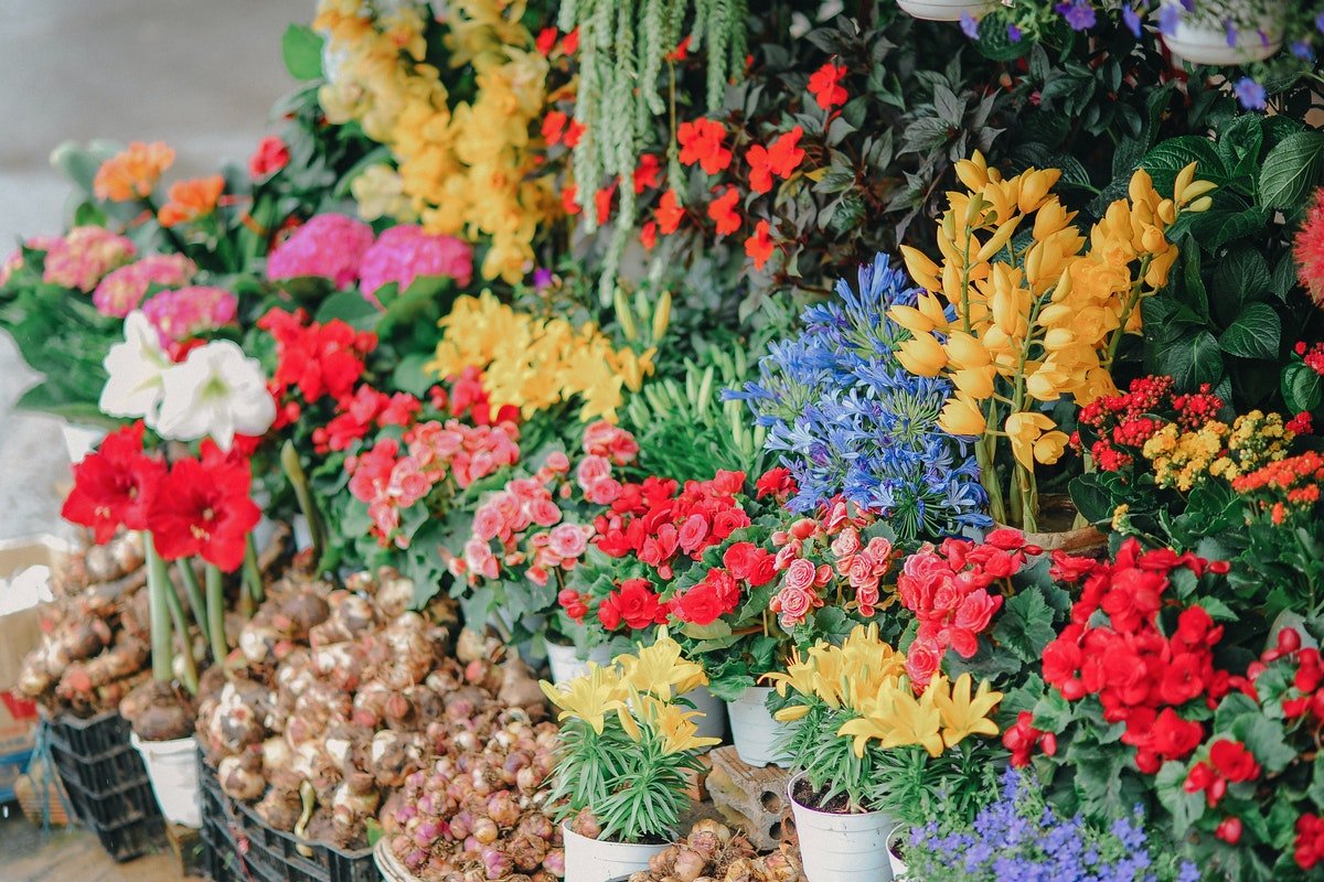 Bild zu Die BESTEN Blumenläden in Augsburg und Umgebung